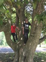 ClimbATree