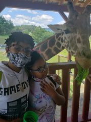 VisitingGiraffe