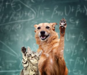 Cat and Dog raising hands 768x666